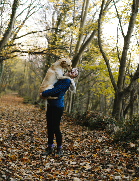 The Psychological Benefits of Having a Dog in Your Life - Pawfy